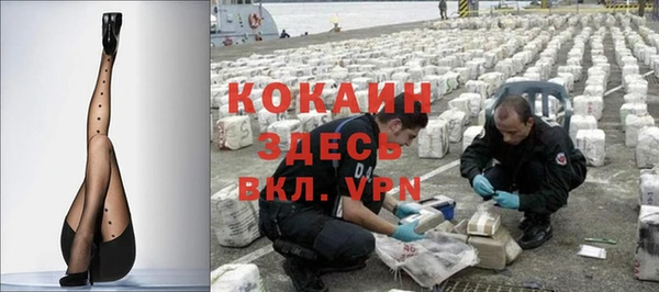 мет Алексин