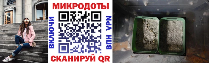 закладка  Павлово  kraken онион  Галлюциногенные грибы Psilocybe 